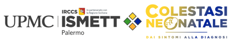 ISMETT